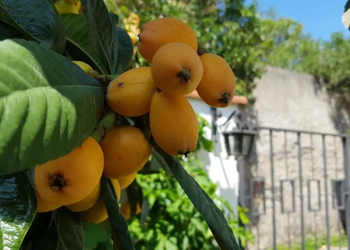 Ca' Do Dria Lägenhet *