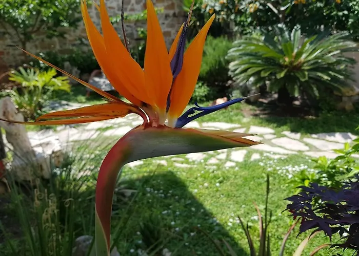 Lägenhet Ca' Do Dria